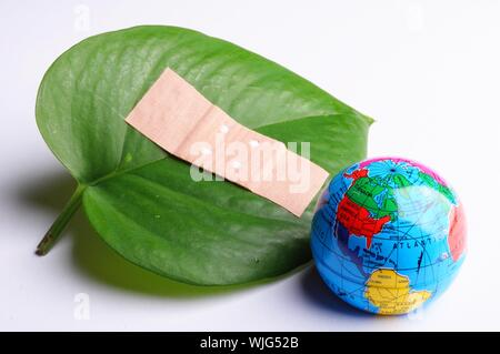 green leaf isolated on white showing broken nature ecology concept with band aid Stock Photo