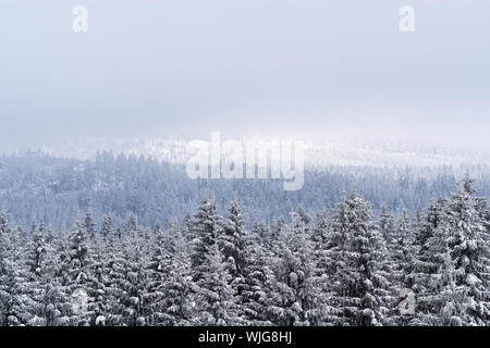 Winter landscape against cloudy sky. Torfhaus in Harz mountains national park, Germany Stock Photo