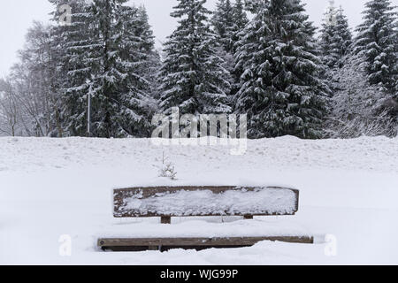 Wooden bench covered by snow against forest. Torfhaus in Harz mountains national park, Germany Stock Photo