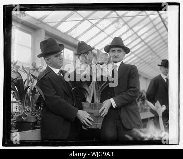 Henry C. Wallace & Dr. W. A. Taylor, 3/15/21 Stock Photo