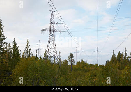 Wood with several high-voltage support against the sky Stock Photo