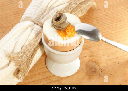 boiled egg with anchovy and a spoon Stock Photo