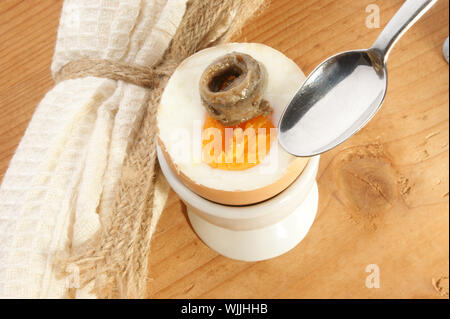 boiled egg with anchovy and a spoon Stock Photo