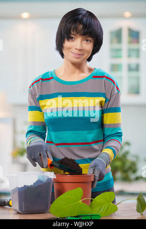 asian female pouring ground in pot for repotting flower Stock Photo