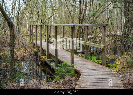 Wanderung durch das Ibmer Moor, Oberösterreich Stock Photo - Alamy