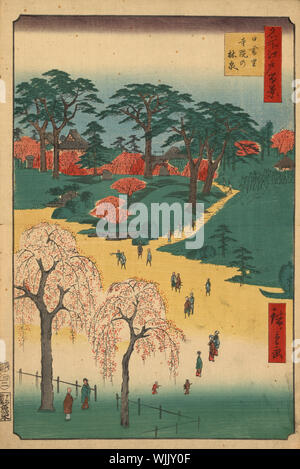 Hiroshige's view near Ueno Hill features two graceful weeping cherry trees in the foreground. The specific site shown has been identified as Shūsō-in, one of three Buddhist temple gardens collectively known as Hanamidera or Flower-viewing Temples as well as Jiin Rinsen or Temple Gardens. Woodblock print from Hiroshige's Hundred famous views of Edo (present day Tokyo). 36.3 x 24.1 cm. Stock Photo