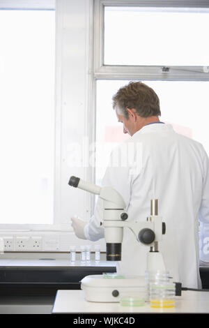Middle aged scientist experimenting in laboratory Stock Photo