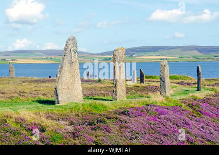 Ring of Brodgar erected 2500BC-2000BC is  the third largest stone circle in the British Isles. Stock Photo