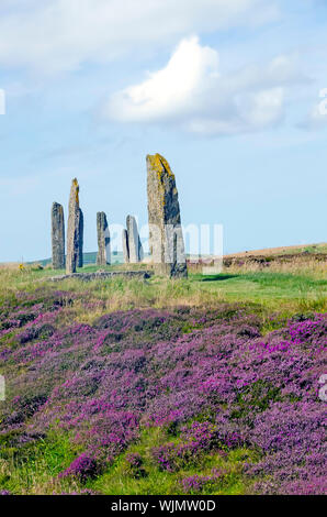 Ring of Brodgar erected 2500BC-2000BC is  the third largest stone circle in the British Isles. Stock Photo