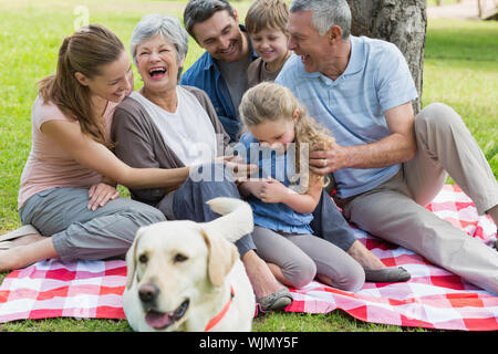 Cheerful extended family with pet dog sitting on picnic blanket at the park Stock Photo