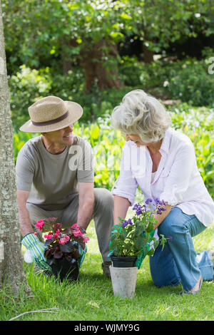Smiling mature couple engaged in gardening Stock Photo