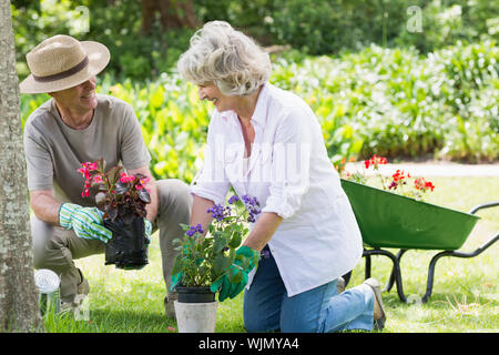 Smiling mature couple engaged in gardening Stock Photo