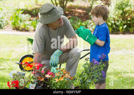 View of a grandfather and grandson engaged in gardening Stock Photo