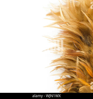 Feather broom isolated on white background Stock Photo