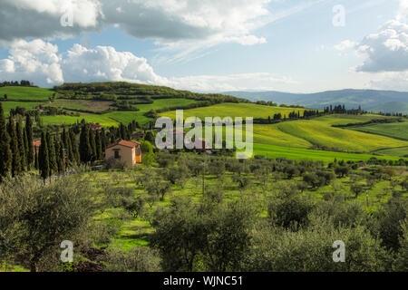 Rolling green landscape of the Tuscan countryside in Italy. Stock Photo