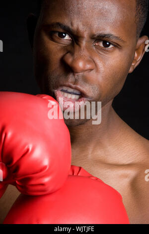 Professional Boxer Stock Photo