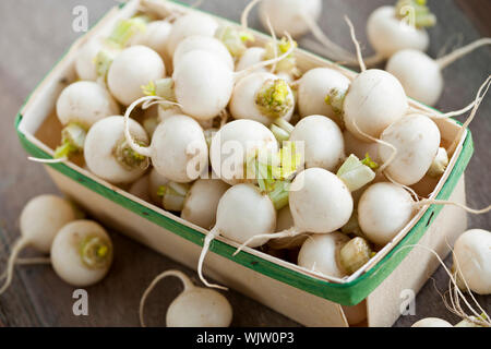 Many small white freshly picked turnips in basket for sale on farmers market Stock Photo