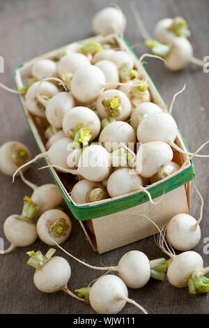 Many small white freshly picked turnips in basket for sale on farmers market Stock Photo
