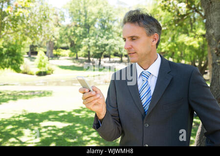 Mature businessman text messaging through smart phone in park Stock Photo