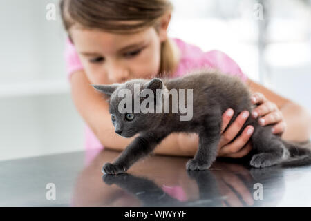Little girl playing with kitten in veterinary office Stock Photo