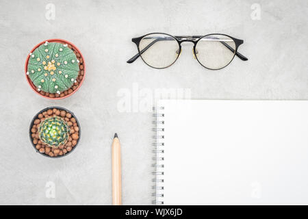 Cactus, notebook, eyeglasses and pencil on the office table, grey concrete background, flat lay Stock Photo