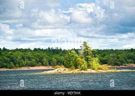 rocky island with windswept pine trees Stock Photo: 27328717 - Alamy