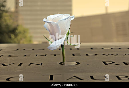 White rose at the 9-11 Memorial on August 07, 2013 in New York City, NY Stock Photo