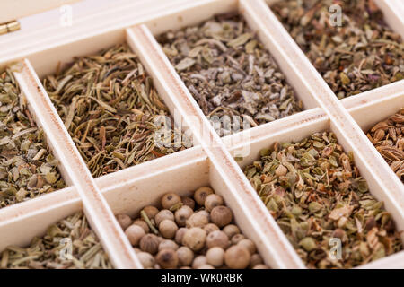 Tray with assorted dried spices and herbs Stock Photo
