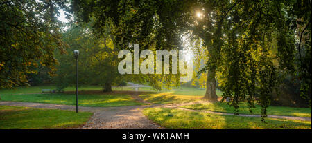 wonderful morning in the park - sun rays breaking through the canopy of trees, fog illuminated by the morning sun Stock Photo