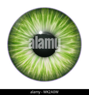 An image of a nice green eye texture Stock Photo