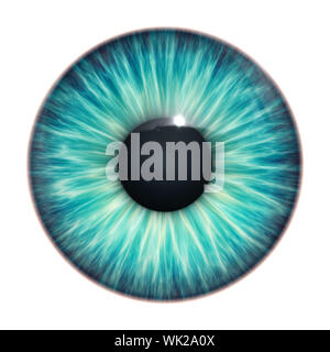 An image of a nice turquoise eye texture Stock Photo