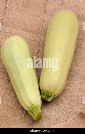 Some vegetable marrows on the table Stock Photo