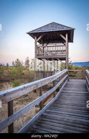 Wandern im Wenger Moor zum Wallersee, Salzburg Stock Photo