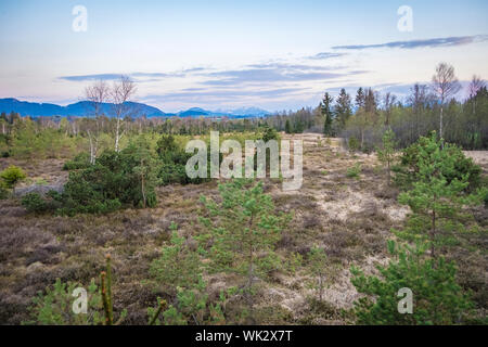 Wandern im Wenger Moor zum Wallersee, Salzburg Stock Photo