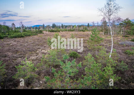 Wandern im Wenger Moor zum Wallersee, Salzburg Stock Photo