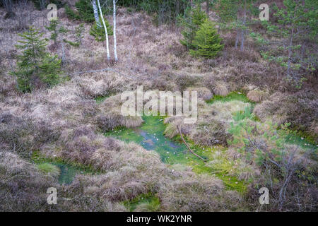 Wandern im Wenger Moor zum Wallersee, Salzburg Stock Photo