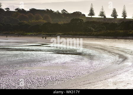 Shallow bay with sand flats exposed during low tide in evening back light. Stock Photo