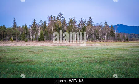 Wandern im Wenger Moor zum Wallersee, Salzburg Stock Photo