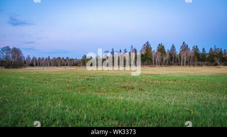 Wandern im Wenger Moor zum Wallersee, Salzburg Stock Photo