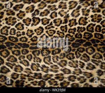 Leopard print Stock Photo