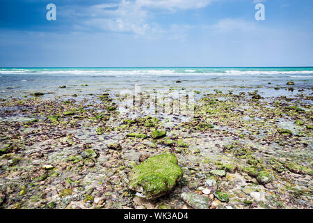 Images of Oman beach with sea Stock Photo