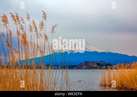 Mt Fuji in the spring seen from lake Kawaguchi Stock Photo