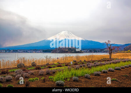 Mt Fuji in the spring seen from lake Kawaguchi Stock Photo