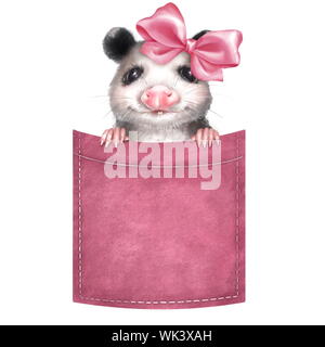 Cute opossum on pocket Stock Photo