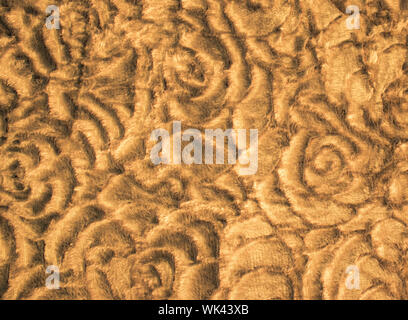 Gold brown abstract textile background. Roses pattern. Autumn textured design. Stock Photo