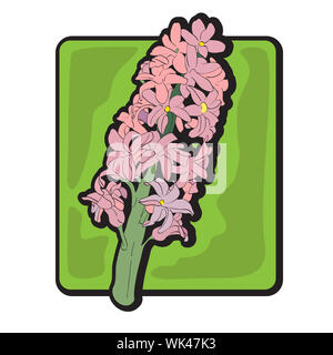 Hyacinth clip art, hand drawn cartoon illustration isolated on white Stock Photo