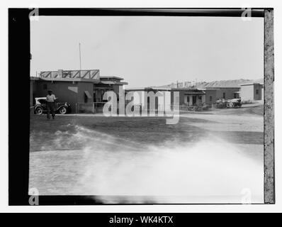 Iraq, housing & man in western dress in car Stock Photo