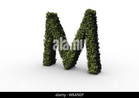 Capital letter m made of leaves on white background Stock Photo