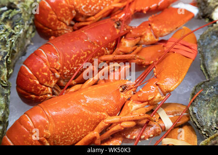 European lobsters on sale in norwegian fish market Stock Photo