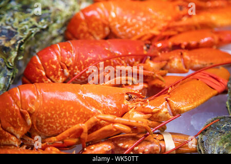 Lobsters on sale in norwegian fish market Stock Photo
